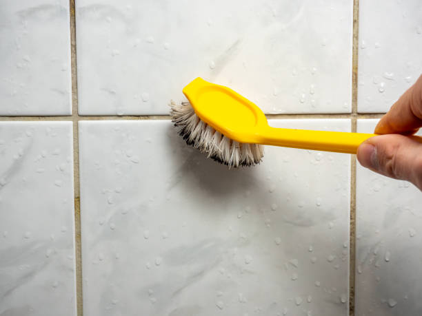 Best Attic Mold Removal  in West Point, VA