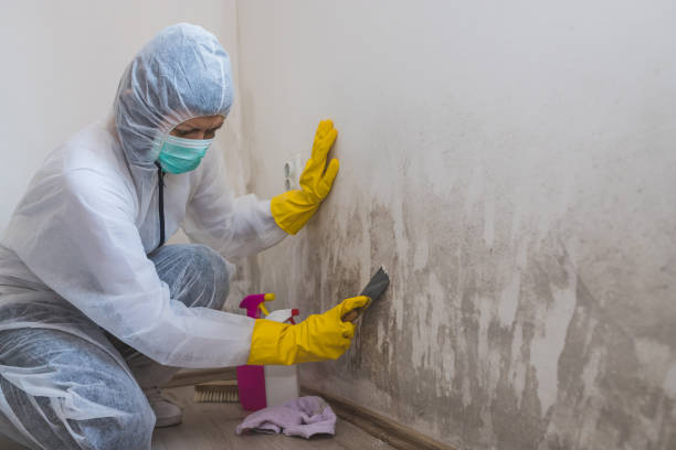 Best Mold Testing  in West Point, VA