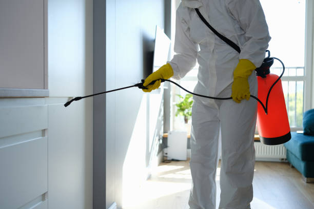 Certified Mold Removal in West Point, VA