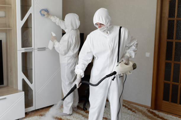 Mold Removal and Inspection in West Point, VA