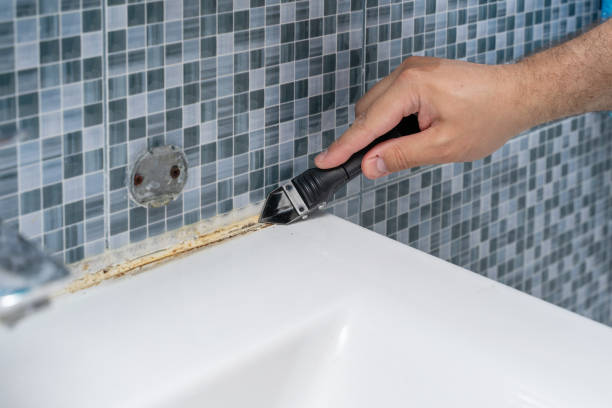 Best Mold Cleaning Services  in West Point, VA