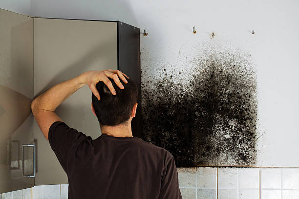 Mold Removal Process in West Point, VA
